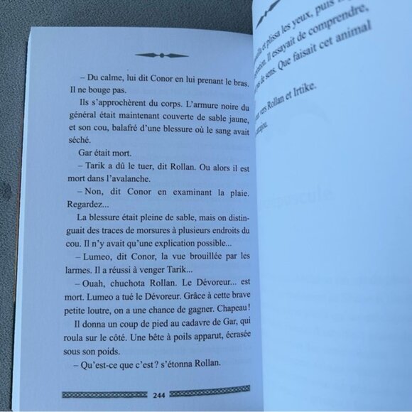 FRENCH ~ Animal Totem ~ 6 ~ La chute - Picture 4 of 6